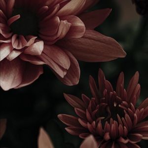 Meet your Posher, Keri